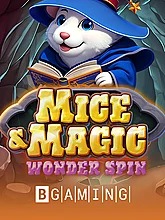 mice-magic-wonder-spin