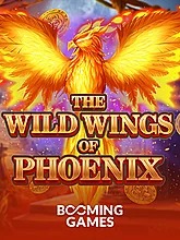 the-wild-wings-of-phoenix