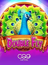 double-fly