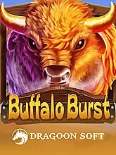 buffalo-burst