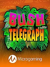 bush-telegraph